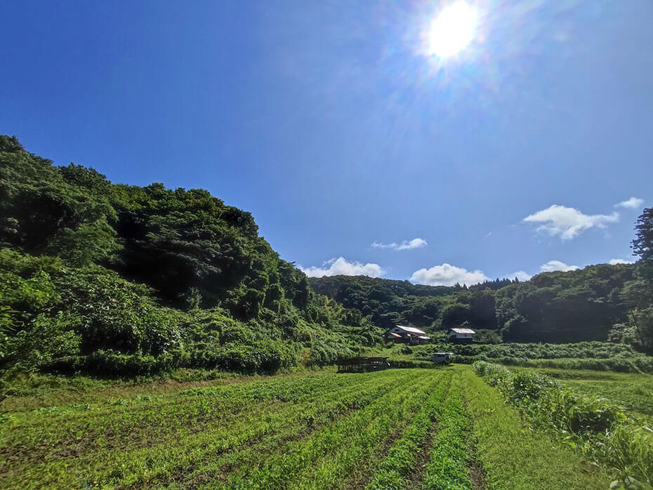 市街化区域の農地や駐車場用地など土地の困りごとも解決!